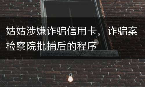 姑姑涉嫌诈骗信用卡，诈骗案检察院批捕后的程序