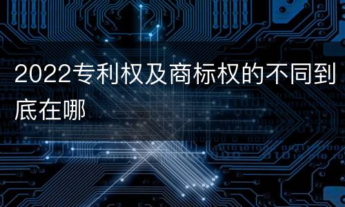 2022专利权及商标权的不同到底在哪