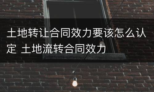 土地转让合同效力要该怎么认定 土地流转合同效力