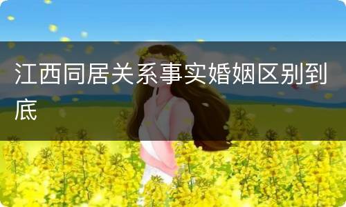 江西同居关系事实婚姻区别到底