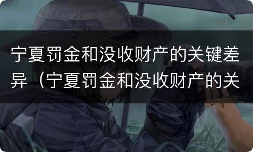 宁夏罚金和没收财产的关键差异（宁夏罚金和没收财产的关键差异是什么）