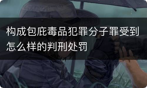 构成包庇毒品犯罪分子罪受到怎么样的判刑处罚