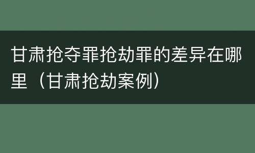 甘肃抢夺罪抢劫罪的差异在哪里（甘肃抢劫案例）