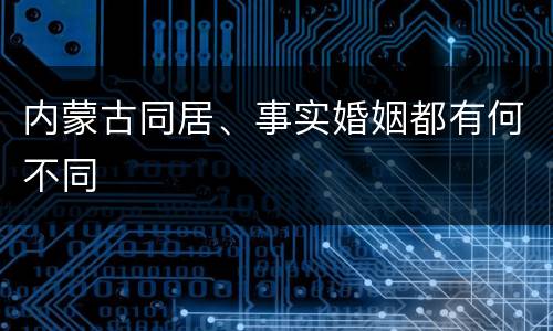 内蒙古同居、事实婚姻都有何不同