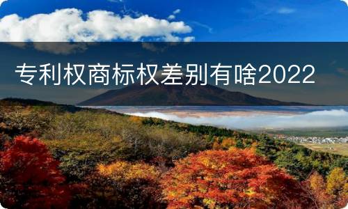 专利权商标权差别有啥2022