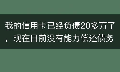 我的信用卡已经负债20多万了，现在目前没有能力偿还债务，请问可以申请破产吗