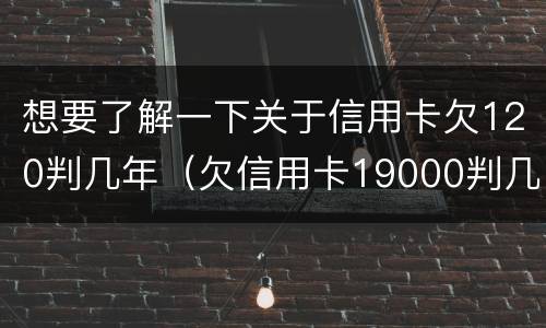 想要了解一下关于信用卡欠120判几年（欠信用卡19000判几年）