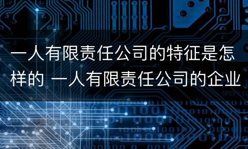 一人有限责任公司的特征是怎样的 一人有限责任公司的企业类型是什么