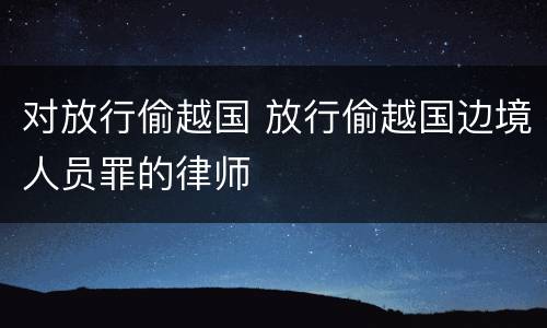 对放行偷越国 放行偷越国边境人员罪的律师