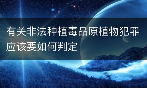 有关非法种植毒品原植物犯罪应该要如何判定