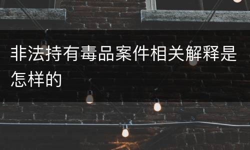 非法持有毒品案件相关解释是怎样的