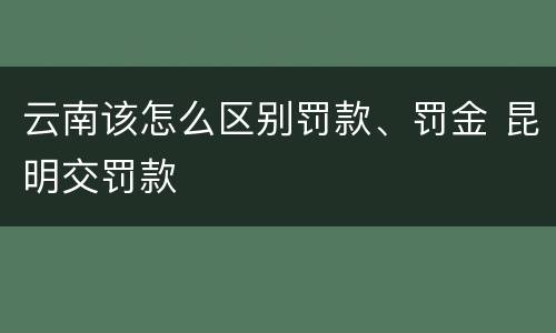 云南该怎么区别罚款、罚金 昆明交罚款