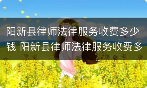 阳新县律师法律服务收费多少钱 阳新县律师法律服务收费多少钱啊