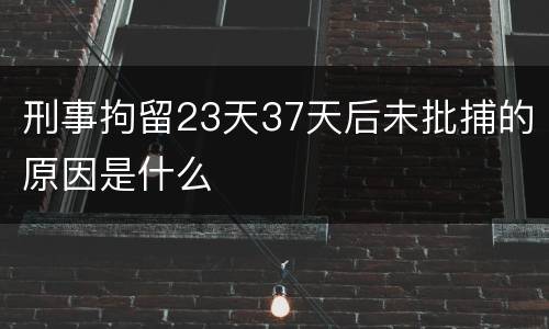 刑事拘留23天37天后未批捕的原因是什么