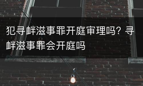 犯寻衅滋事罪开庭审理吗? 寻衅滋事罪会开庭吗