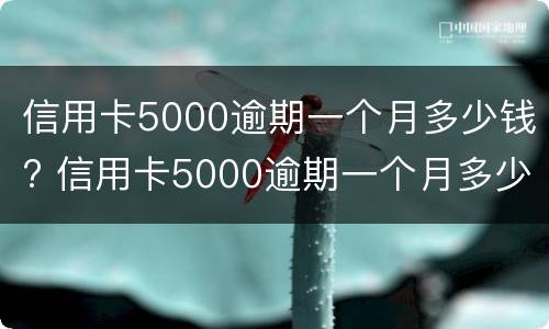 信用卡5000逾期一个月多少钱? 信用卡5000逾期一个月多少钱利息