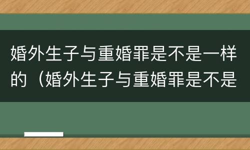 婚外生子与重婚罪是不是一样的（婚外生子与重婚罪是不是一样的行为）