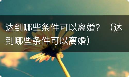 达到哪些条件可以离婚？（达到哪些条件可以离婚）