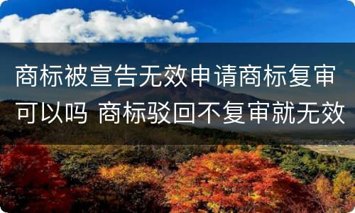 商标被宣告无效申请商标复审可以吗 商标驳回不复审就无效了吗