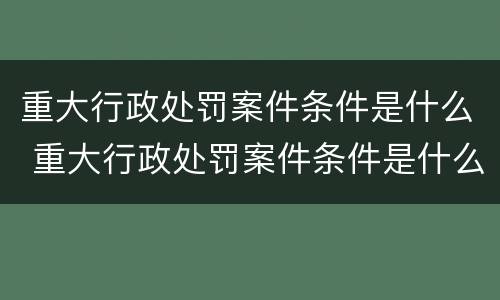 重大行政处罚案件条件是什么 重大行政处罚案件条件是什么规定