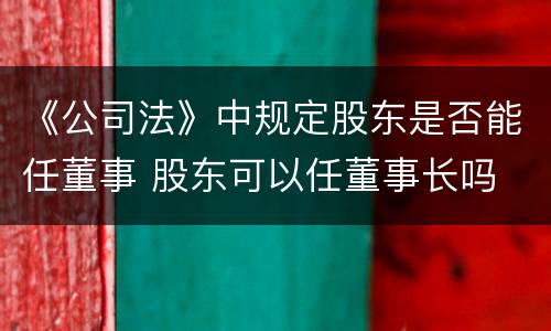 《公司法》中规定股东是否能任董事 股东可以任董事长吗