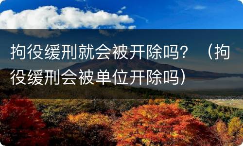 拘役缓刑就会被开除吗？（拘役缓刑会被单位开除吗）