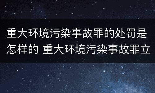 重大环境污染事故罪的处罚是怎样的 重大环境污染事故罪立案标准