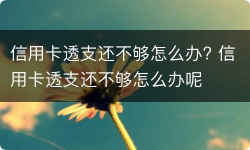 信用卡透支还不够怎么办? 信用卡透支还不够怎么办呢