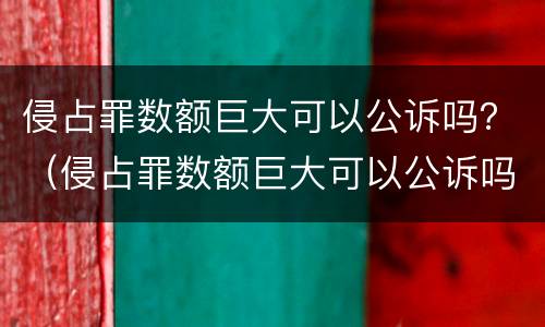 侵占罪数额巨大可以公诉吗？（侵占罪数额巨大可以公诉吗）