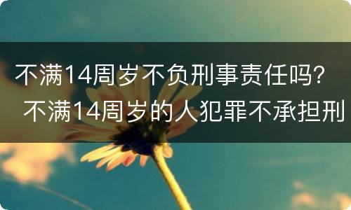 不满14周岁不负刑事责任吗？ 不满14周岁的人犯罪不承担刑事责任