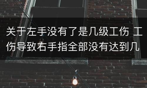 关于左手没有了是几级工伤 工伤导致右手指全部没有达到几级