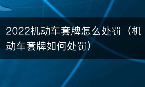 2022机动车套牌怎么处罚（机动车套牌如何处罚）