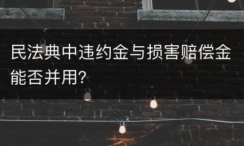 民法典中违约金与损害赔偿金能否并用？