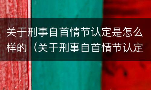 关于刑事自首情节认定是怎么样的（关于刑事自首情节认定是怎么样的标准）