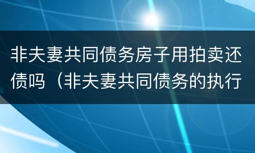 非夫妻共同债务房子用拍卖还债吗（非夫妻共同债务的执行）