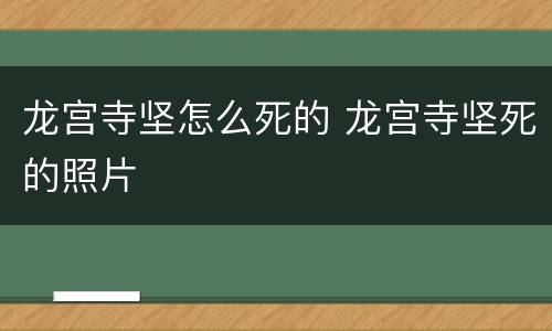 龙宫寺坚怎么死的 龙宫寺坚死的照片