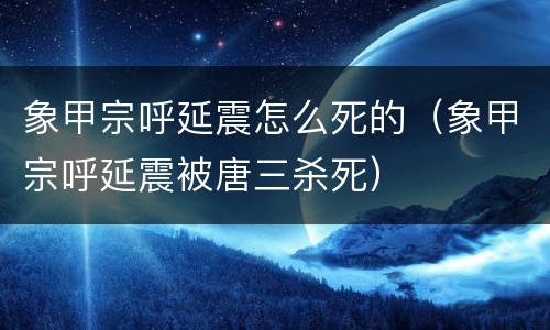 象甲宗呼延震怎么死的（象甲宗呼延震被唐三杀死）