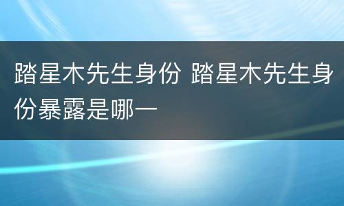 踏星木先生身份 踏星木先生身份暴露是哪一