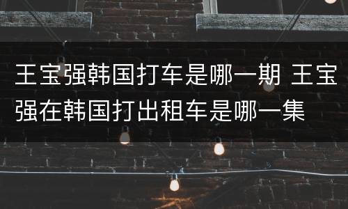 王宝强韩国打车是哪一期 王宝强在韩国打出租车是哪一集