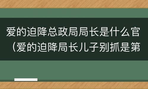 爱的迫降总政局局长是什么官（爱的迫降局长儿子别抓是第几集）