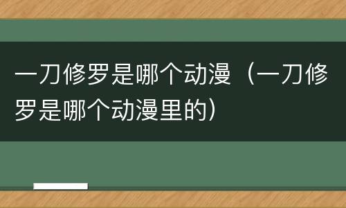 一刀修罗是哪个动漫（一刀修罗是哪个动漫里的）