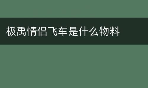 极禹情侣飞车是什么物料