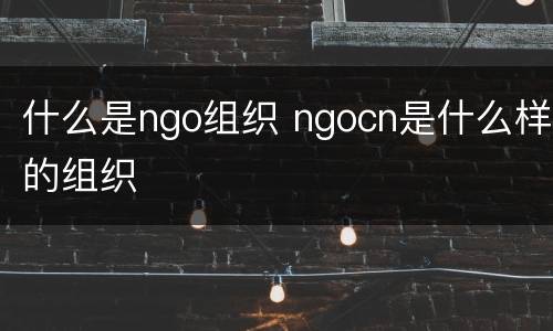 什么是ngo组织 ngocn是什么样的组织