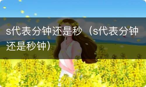 s代表分钟还是秒（s代表分钟还是秒钟）