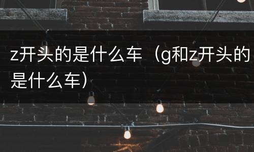 z开头的是什么车（g和z开头的是什么车）