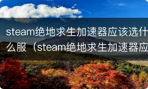 steam绝地求生加速器应该选什么服（steam绝地求生加速器应该选什么服务器好）