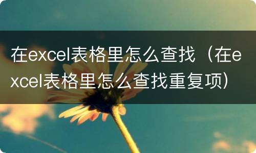 在excel表格里怎么查找（在excel表格里怎么查找重复项）