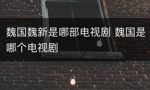 魏国魏新是哪部电视剧 魏国是哪个电视剧