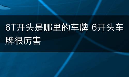 6T开头是哪里的车牌 6开头车牌很厉害