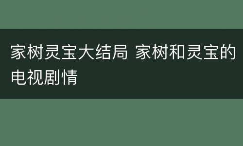 家树灵宝大结局 家树和灵宝的电视剧情